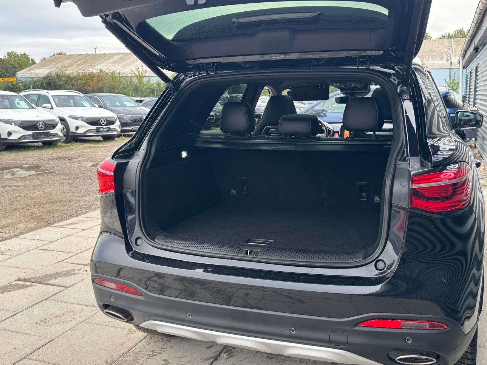 Sort MG EHS fra 2022