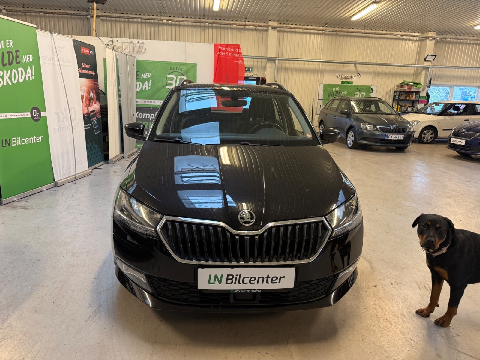 undefined Skoda Fabia fra 2019