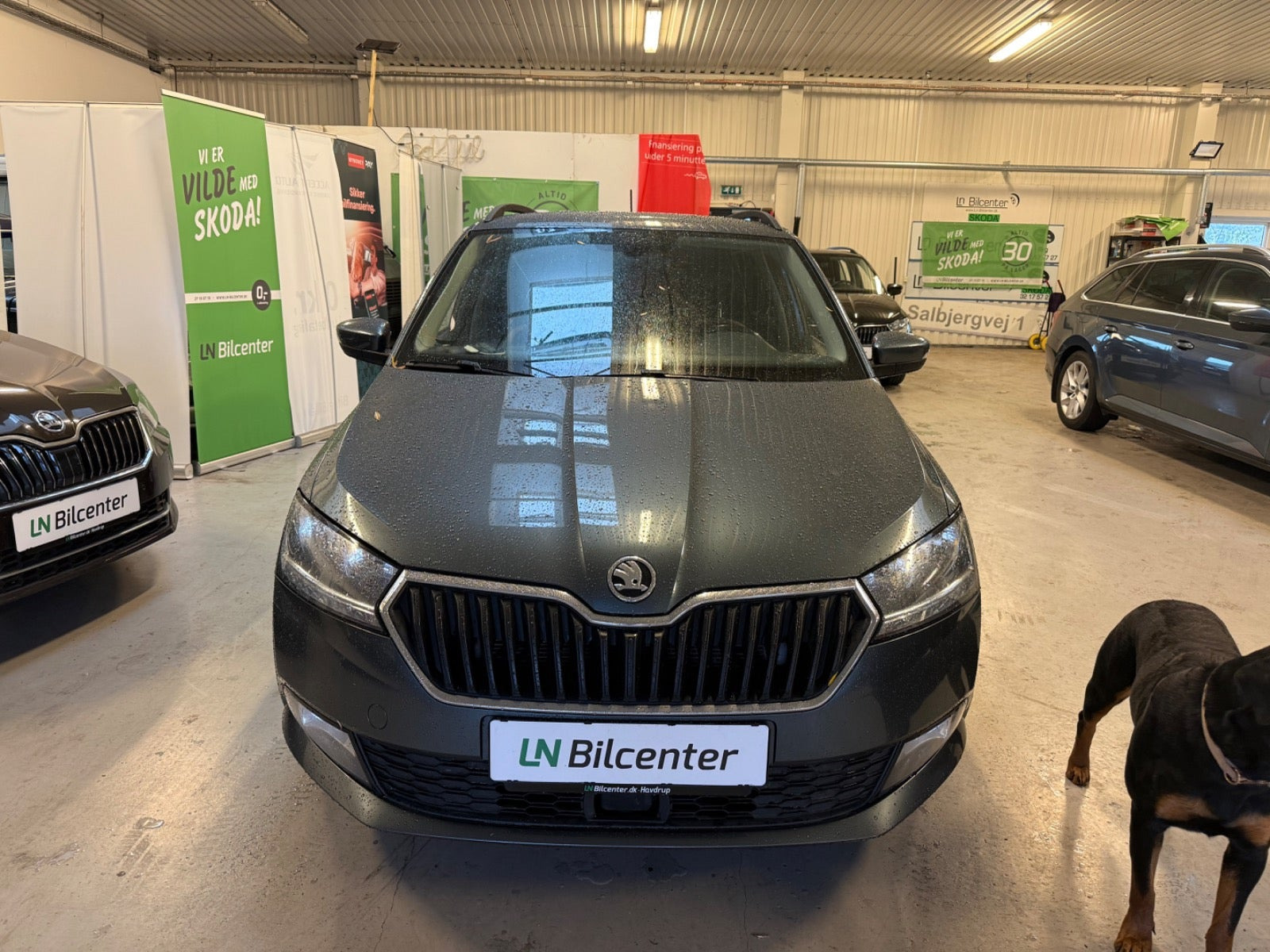 undefined Skoda Fabia fra 2019
