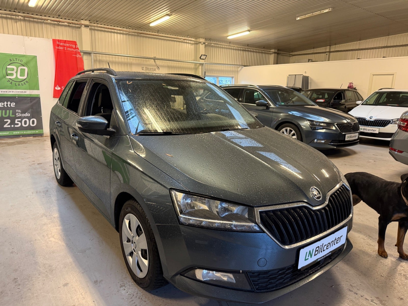undefined Skoda Fabia fra 2019