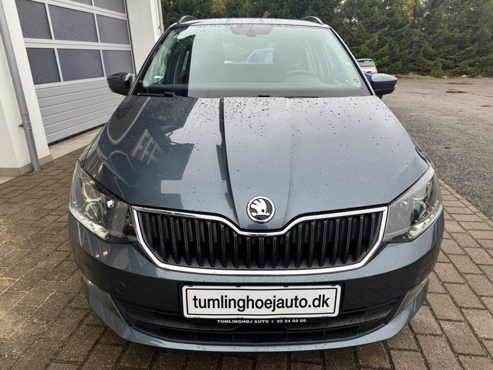 Grå Skoda Fabia fra 2017