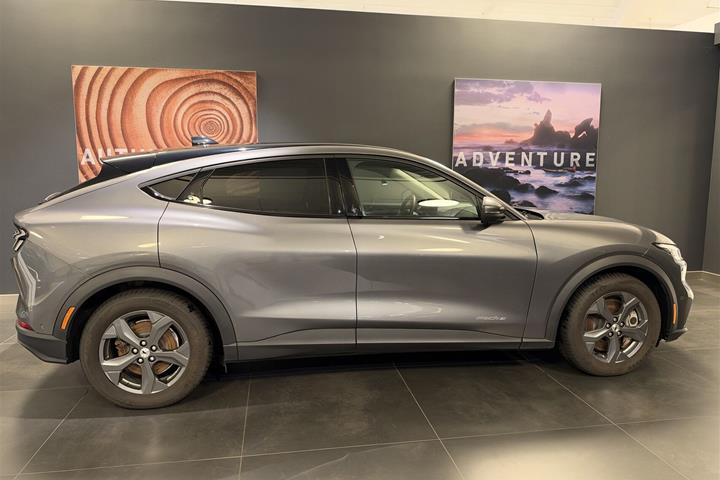 Grå Ford Mustang Mach-E fra 2020