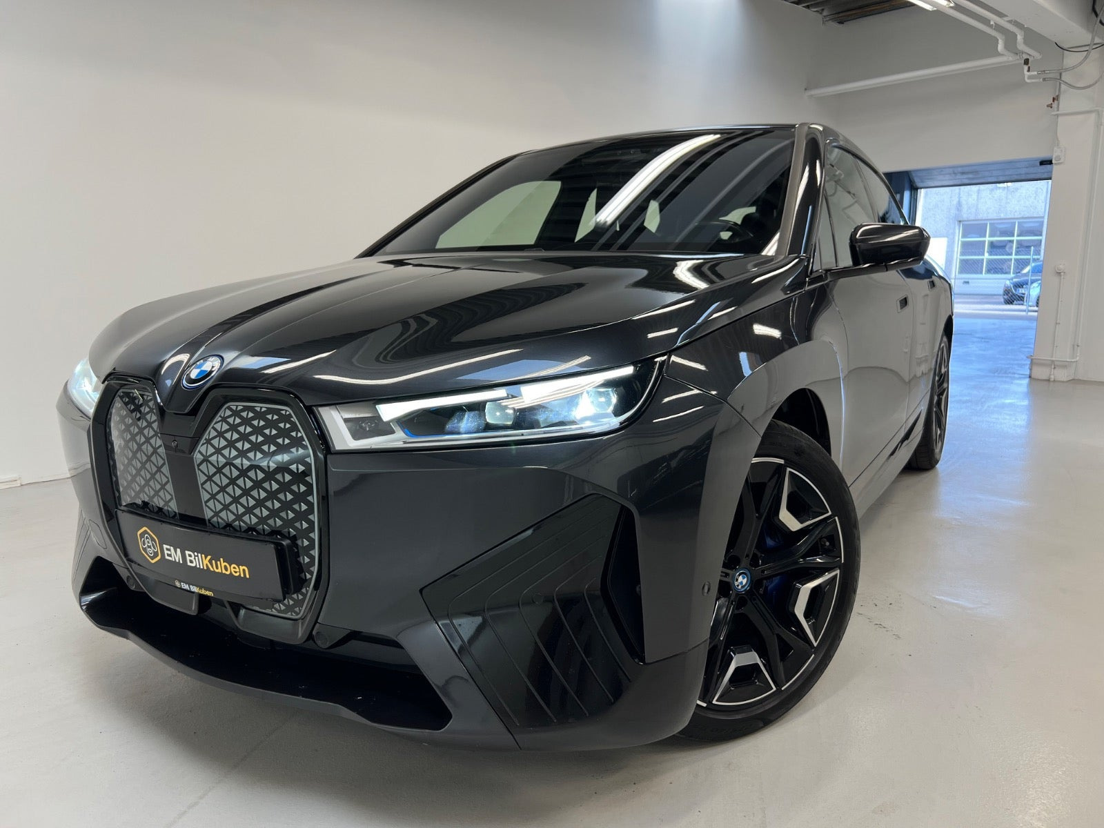 BMW iX xDrive40 Sport