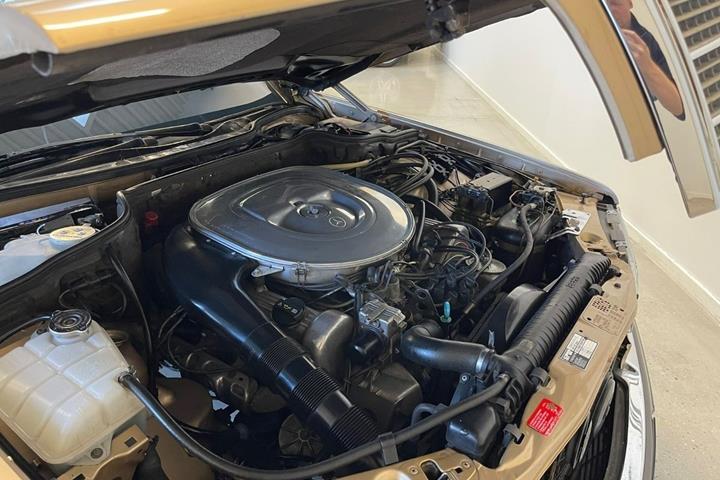 Beige Mercedes 500 SEL fra 1981