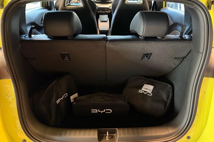 undefined BYD Dolphin Surf fra 2026