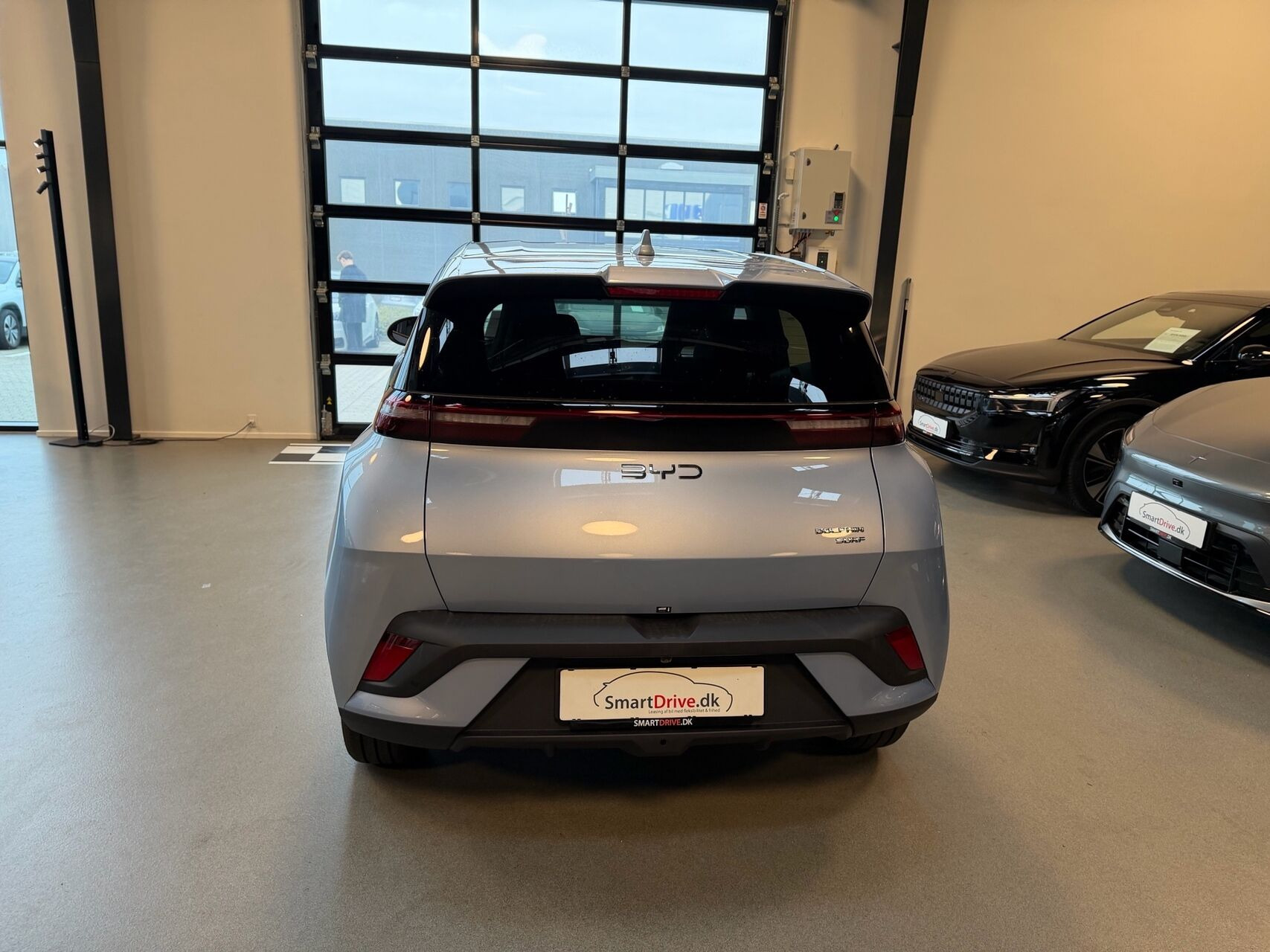Blå BYD Dolphin Surf fra 2026