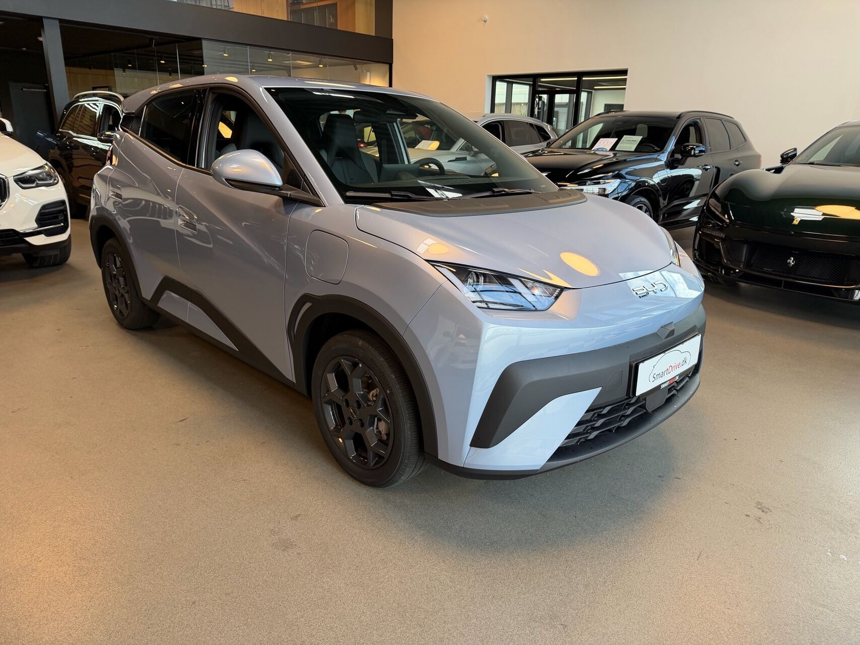 Blå BYD Dolphin Surf fra 2026