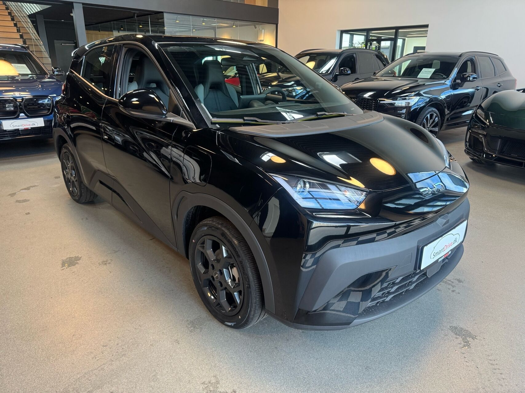 Sort BYD Dolphin Surf fra 2026