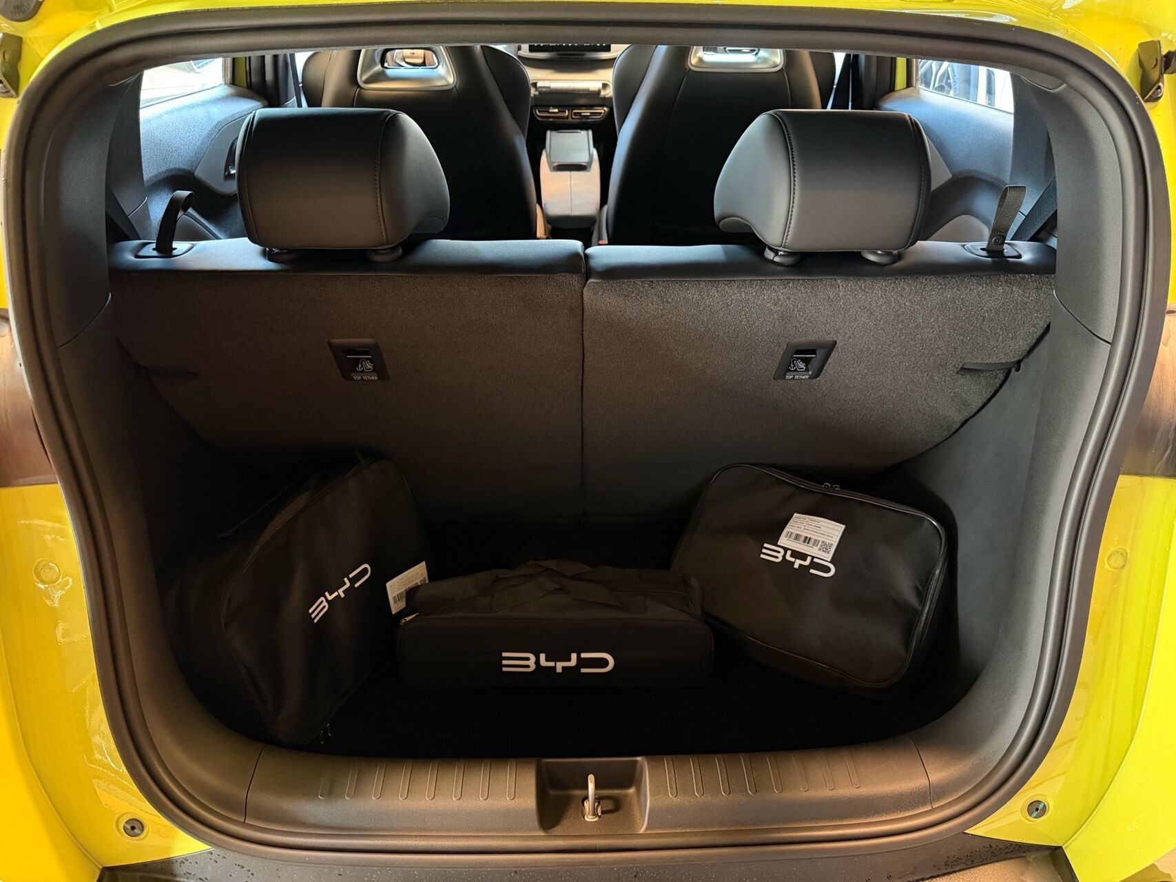 undefined BYD Dolphin Surf fra 2026