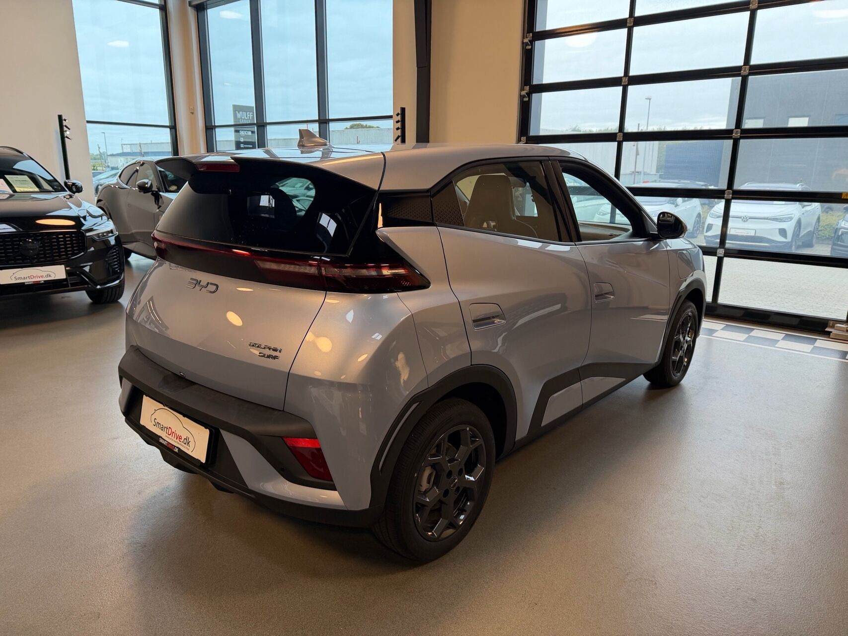 Blå BYD Dolphin Surf fra 2026
