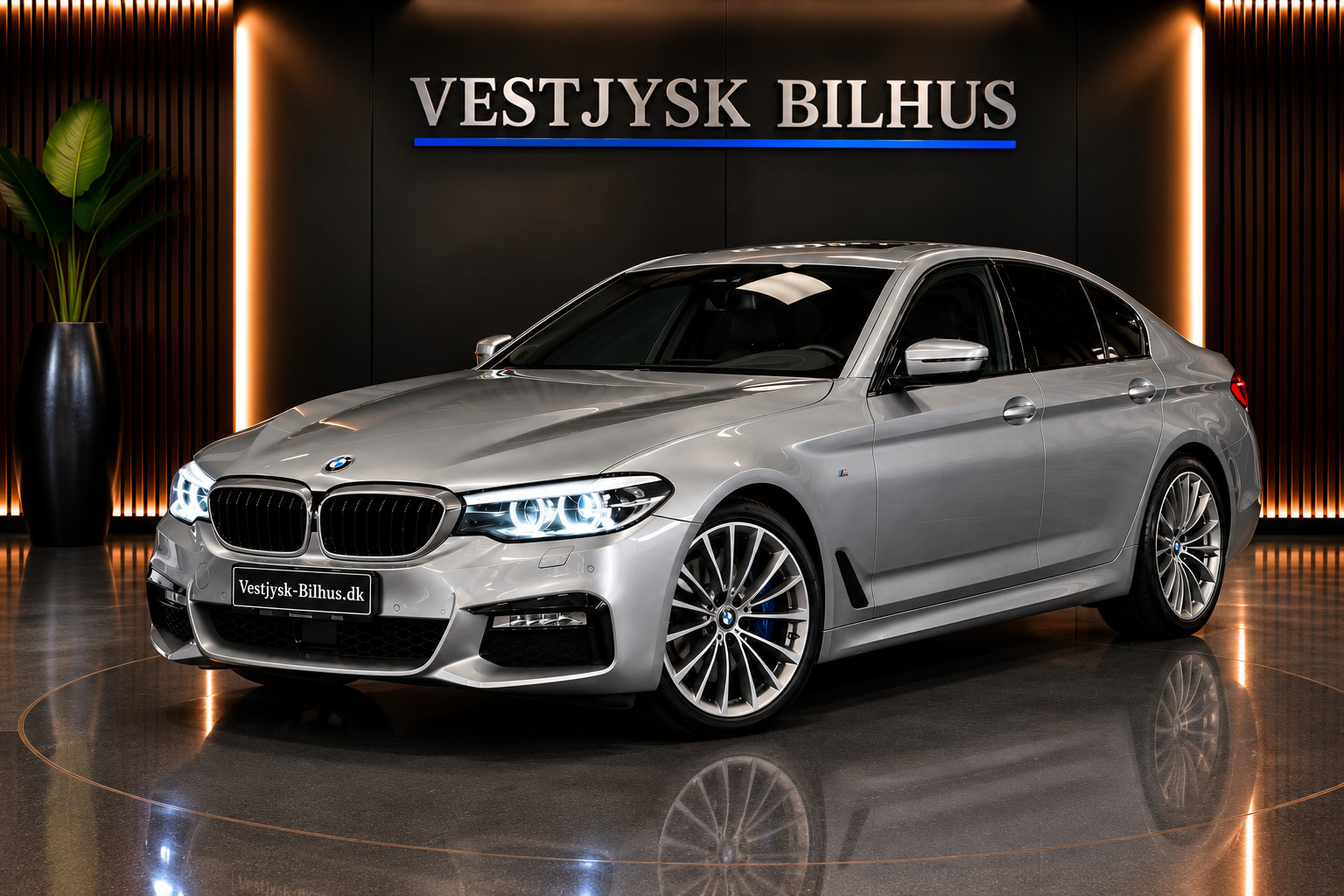 BMW 530d 3,0 M-Sport aut.
