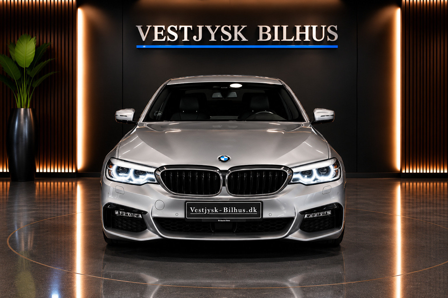 undefined BMW 530d fra 2017