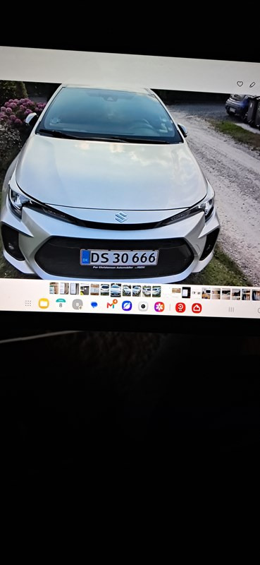 undefined Suzuki Swace fra 2021