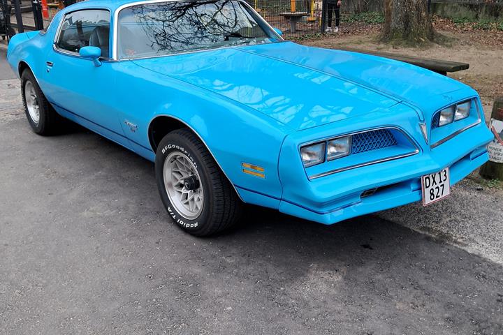 undefined Pontiac Firebird fra 1978