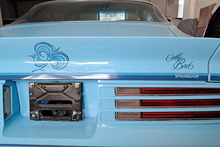 undefined Pontiac Firebird fra 1978