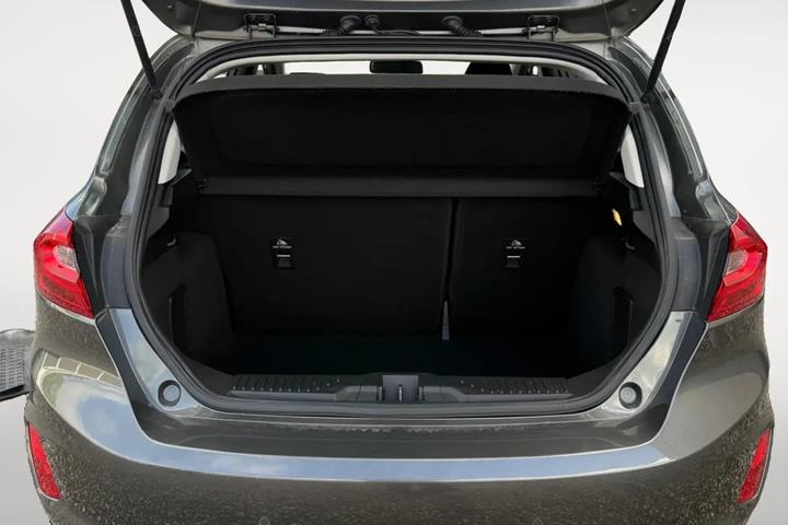 Grå Ford Fiesta fra 2020