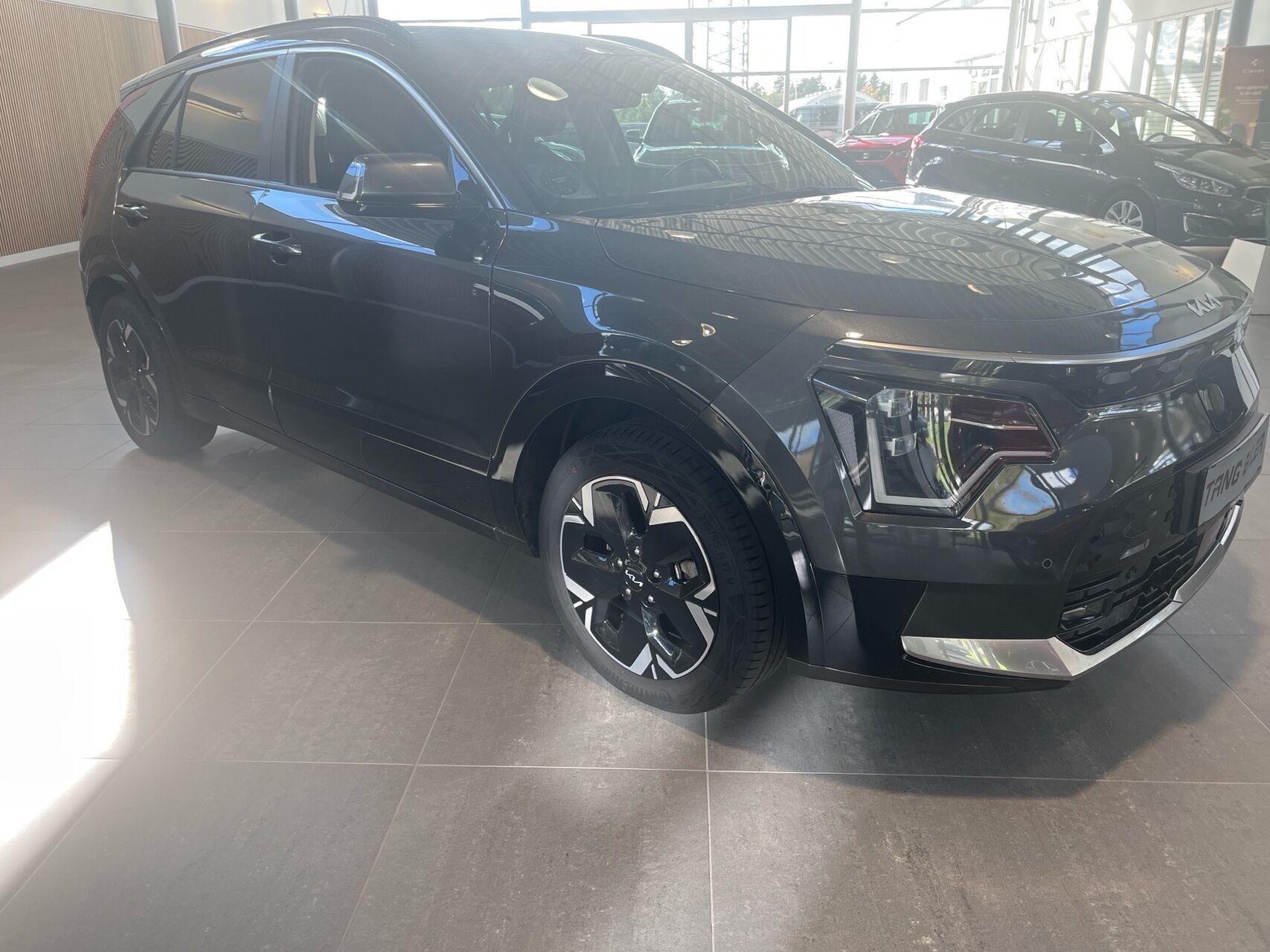 Grå Kia Niro EV fra 2023