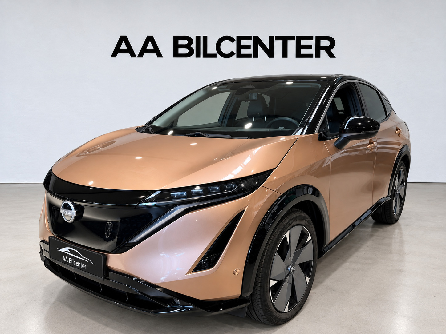 Nissan Ariya 87 Evolve