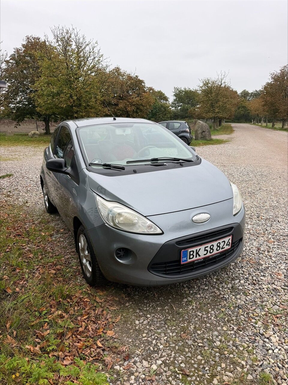 undefined Ford Ka fra 2009