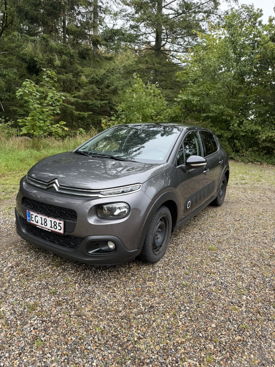 Grå Citroën C3 fra 2019