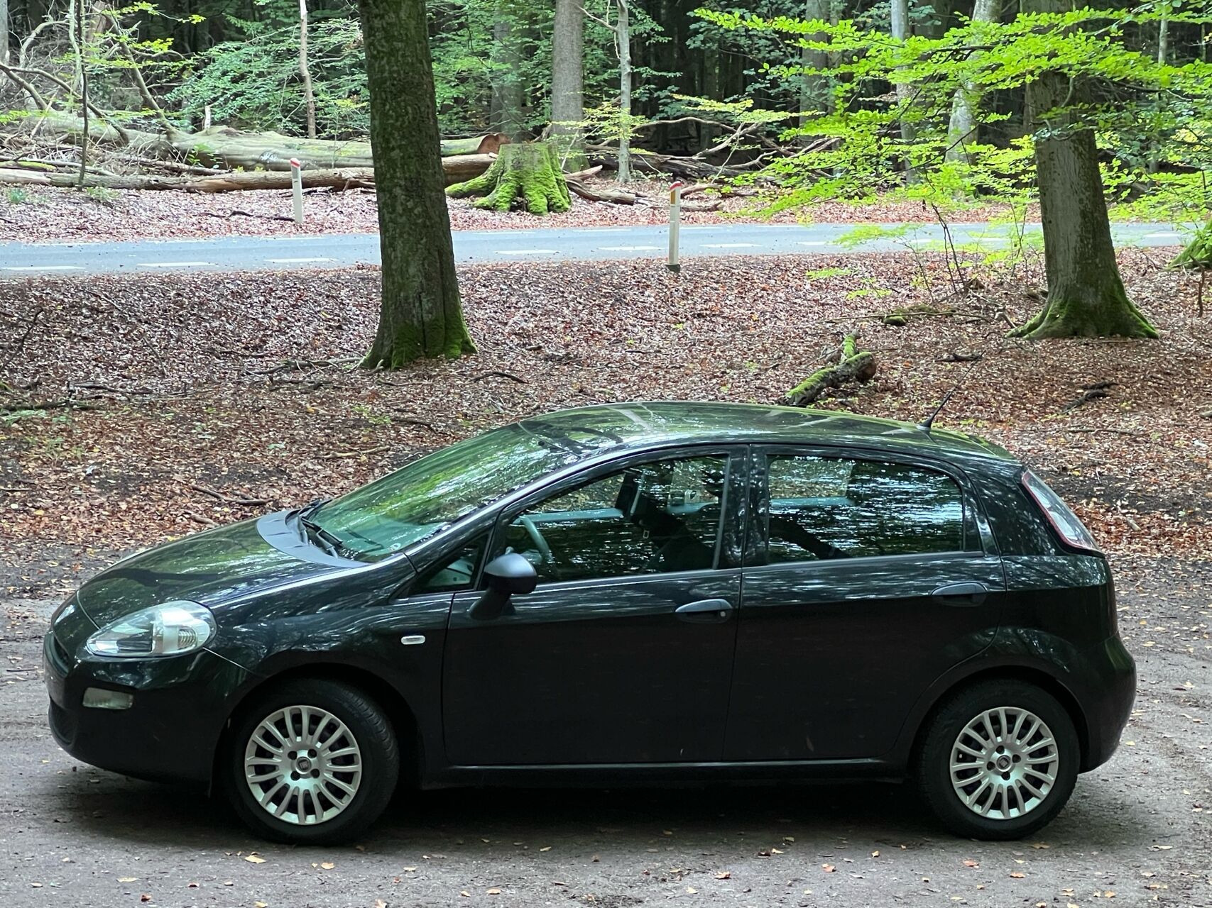 Sort Fiat Punto fra 2012