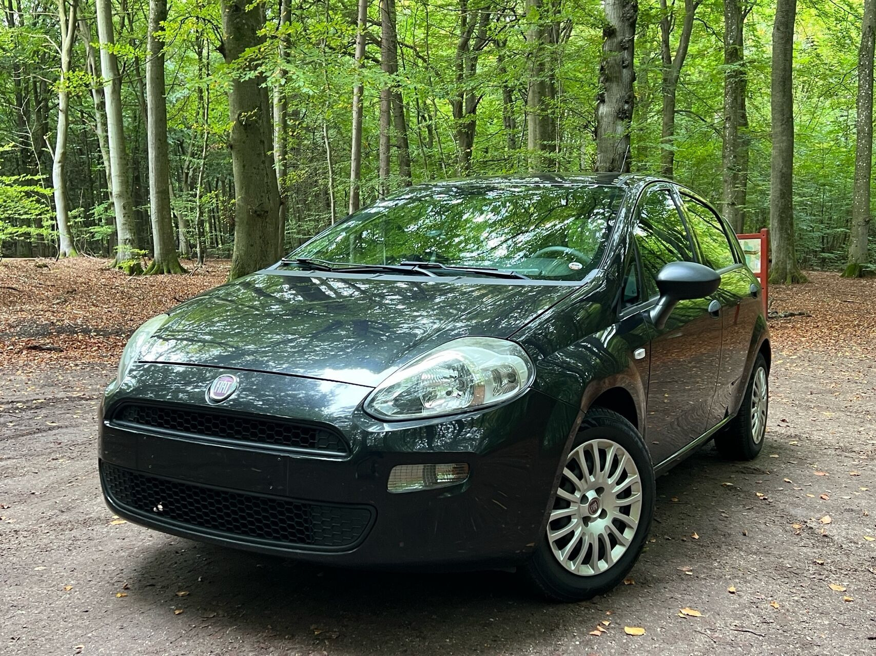 Sort Fiat Punto fra 2012