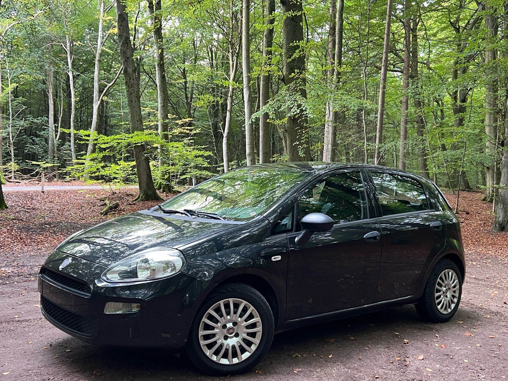Sort Fiat Punto fra 2012