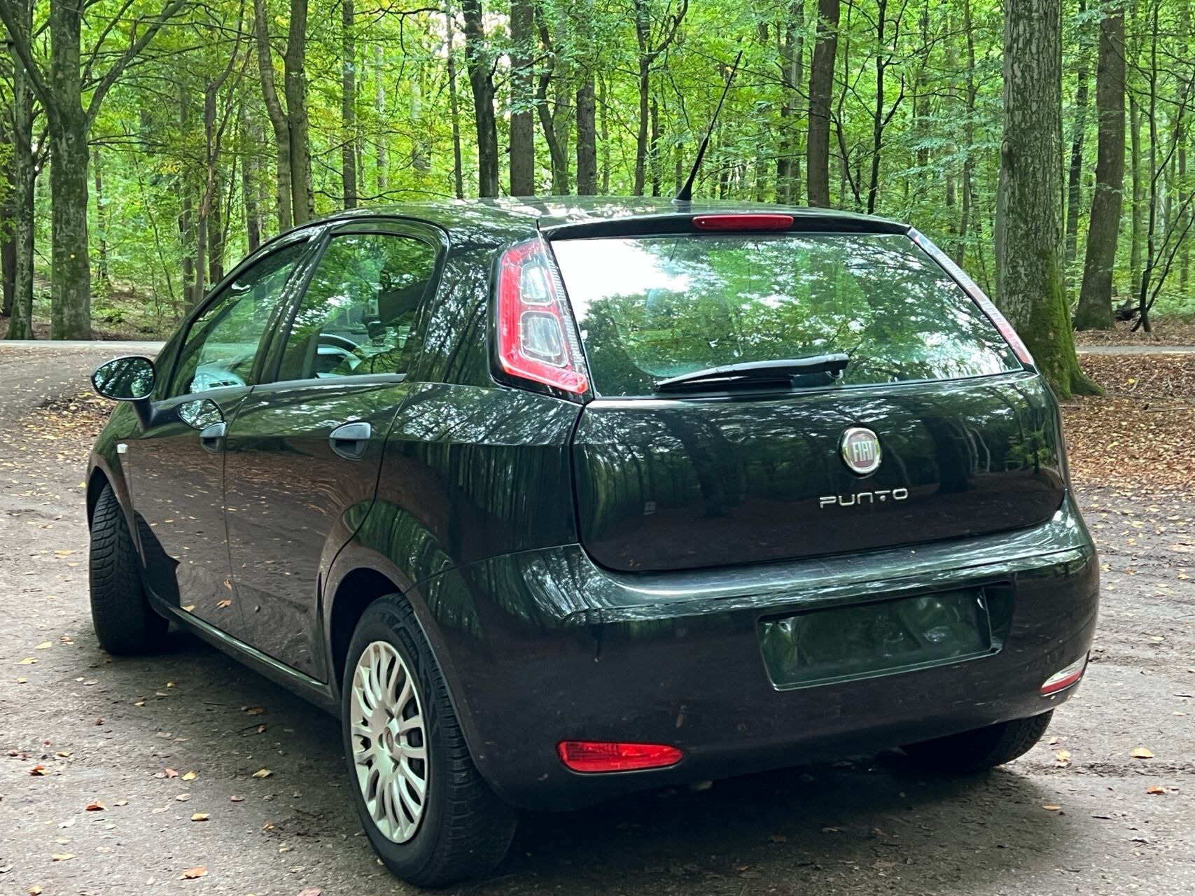 Sort Fiat Punto fra 2012