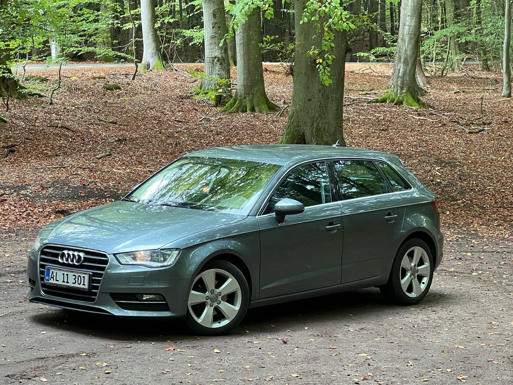 Audi A3 1,6 Sportback TDI Ambition 105HK 5d