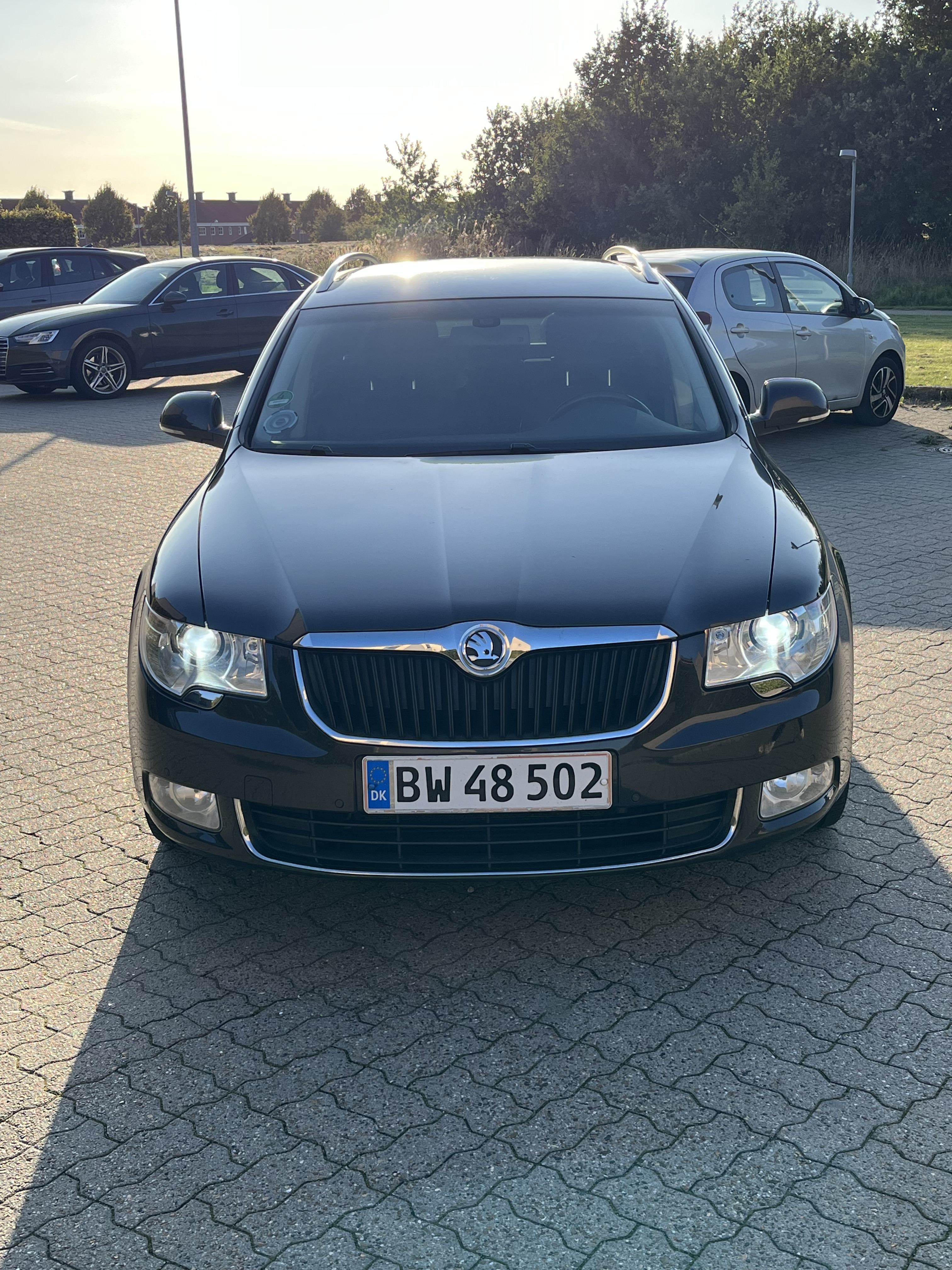 Brun Skoda SUPERB COMBI fra 2010