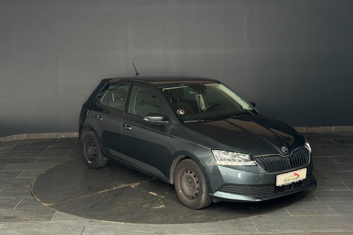 Grå Skoda Fabia fra 2019