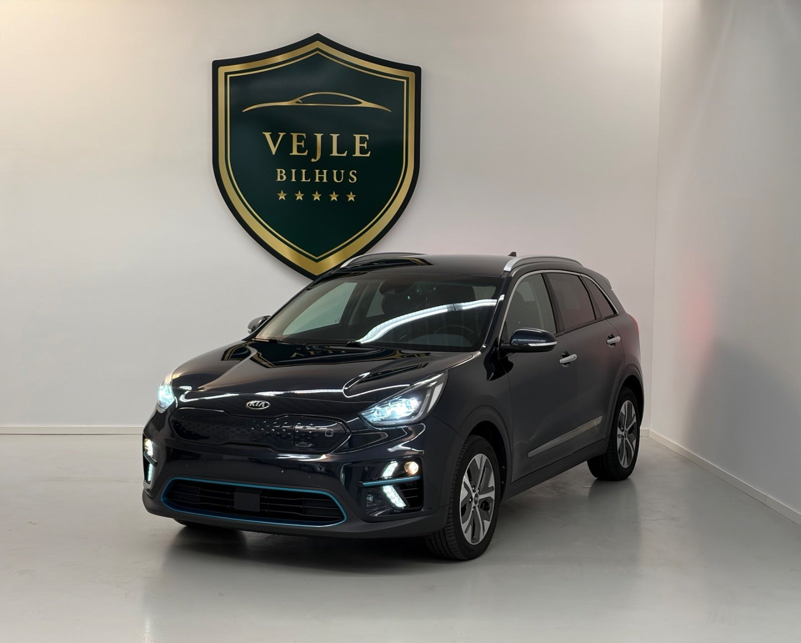 undefined Kia e-Niro fra 2020