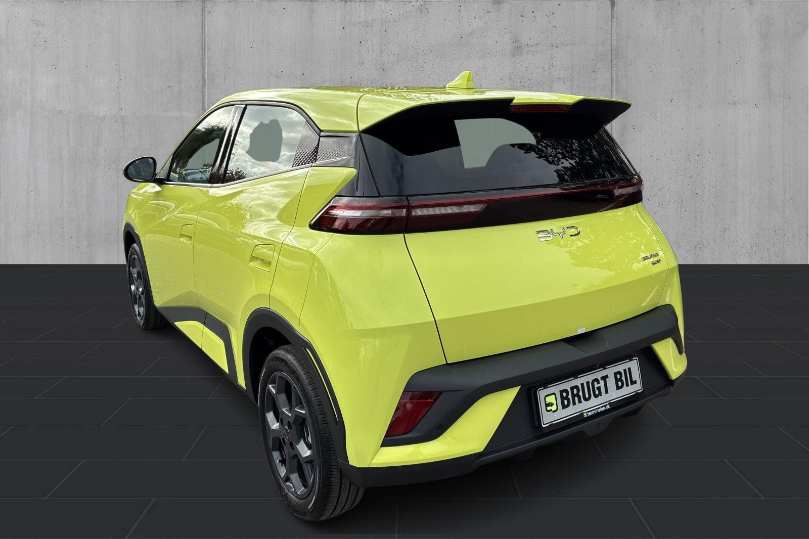 Grøn BYD Dolphin Surf fra 2026