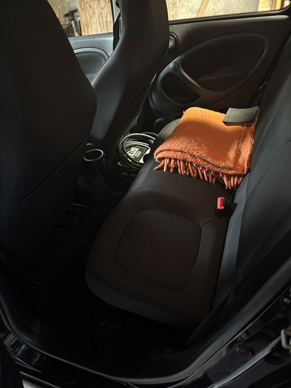 undefined Smart ForFour fra 2019