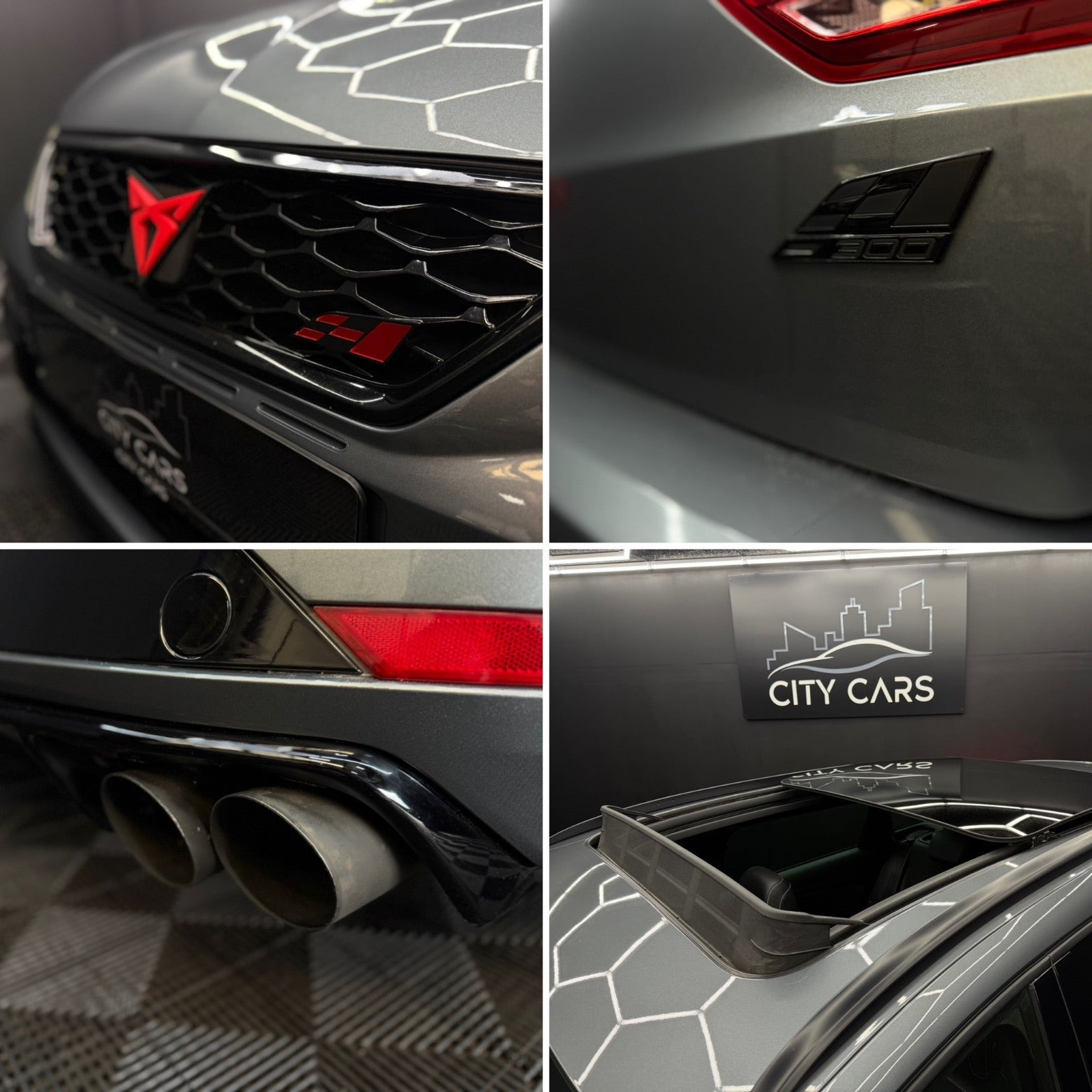 Grå Seat Leon fra 2018