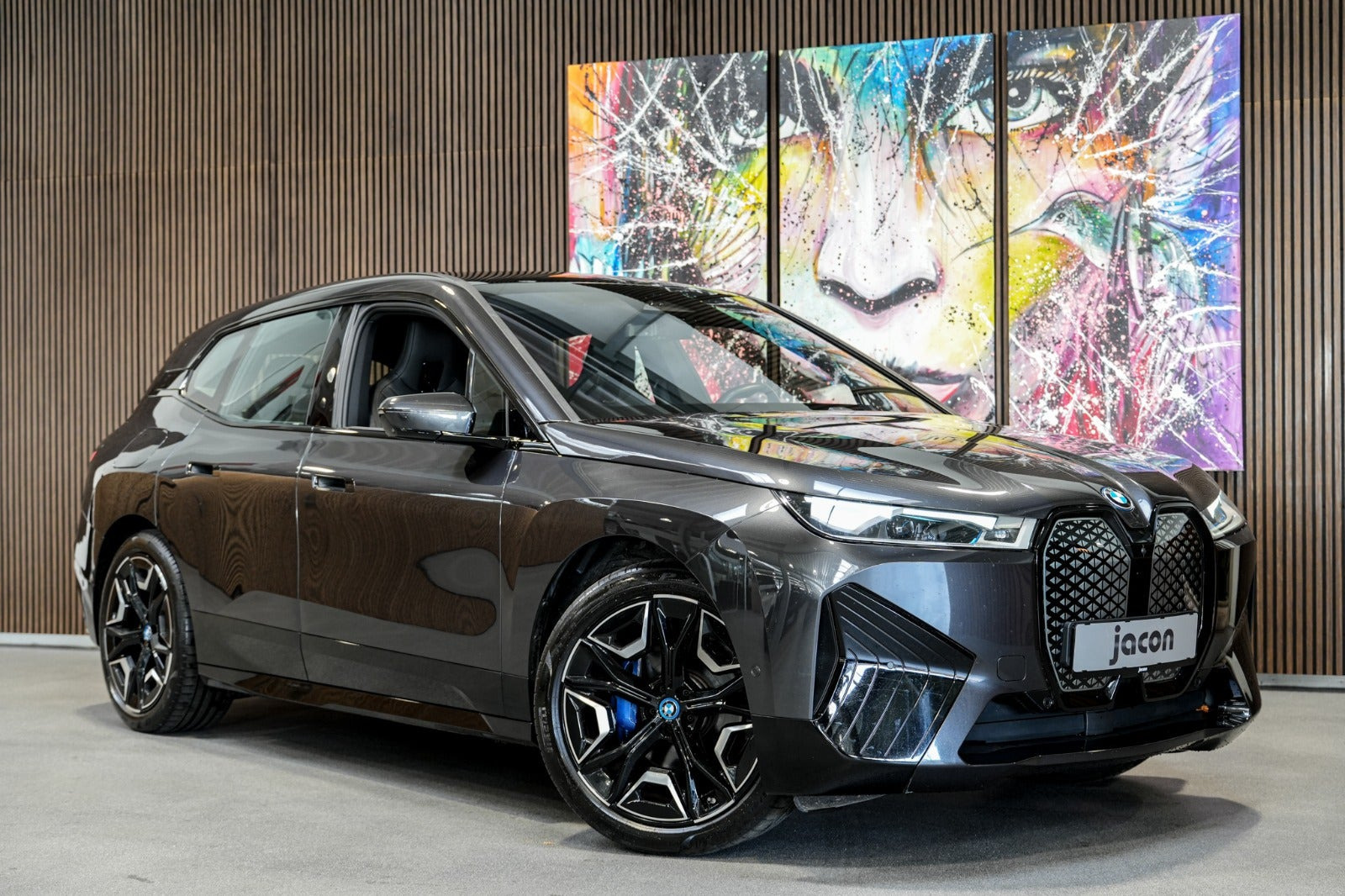BMW iX xDrive50 Sport