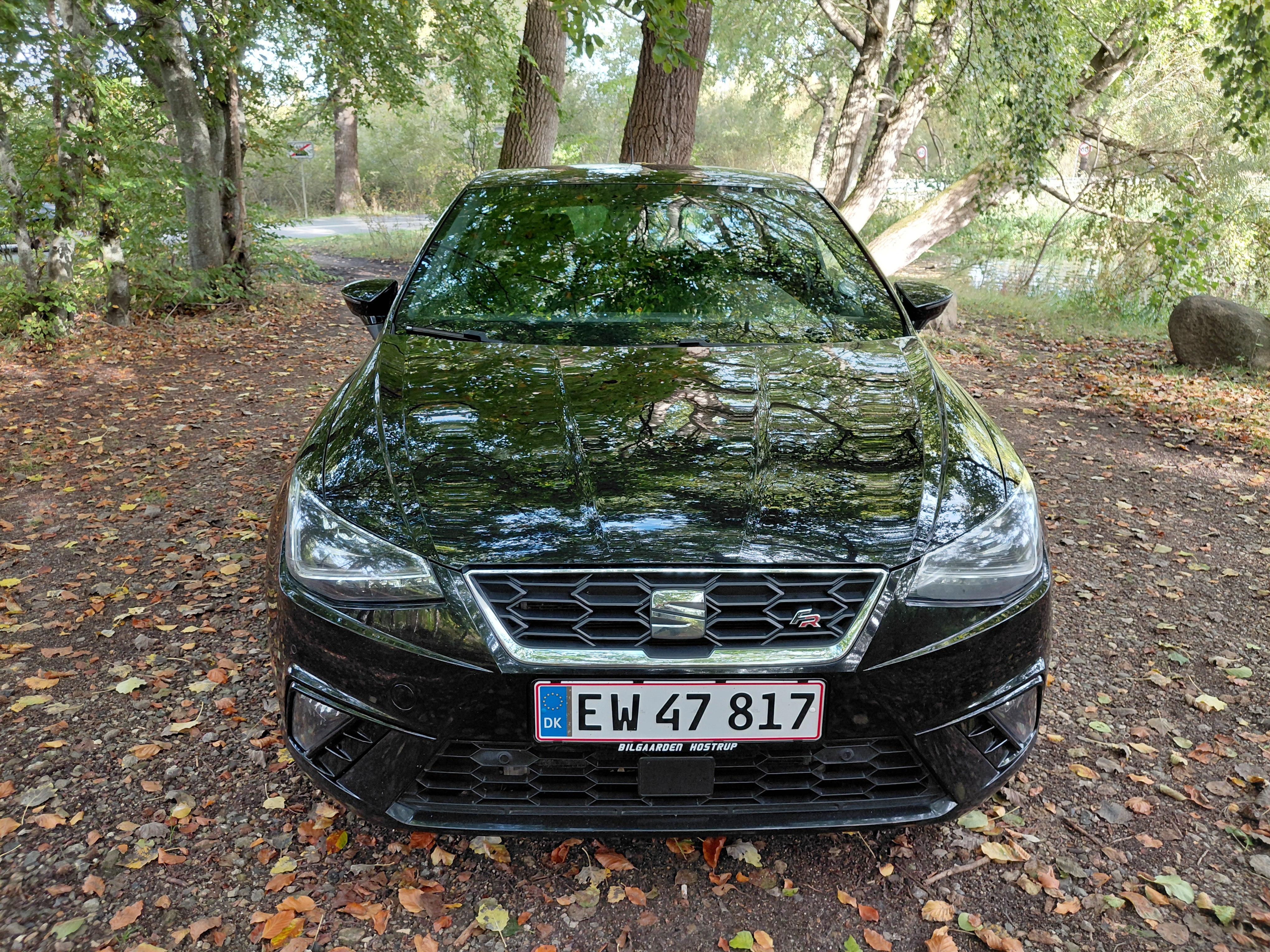 Sort Seat Ibiza fra 2019