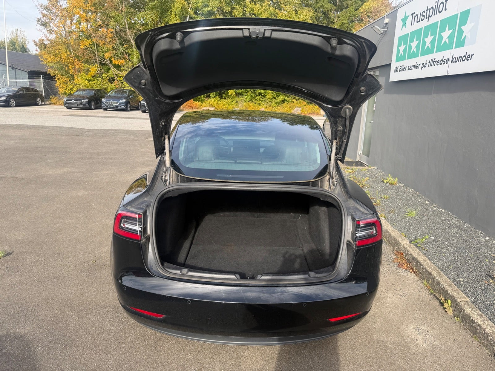 undefined Tesla Model 3 fra 2019