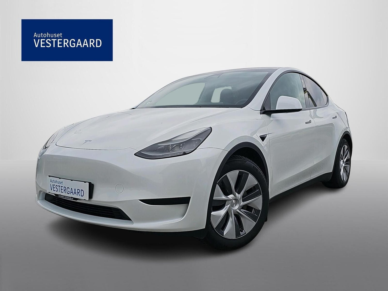 Tesla Model Y RWD