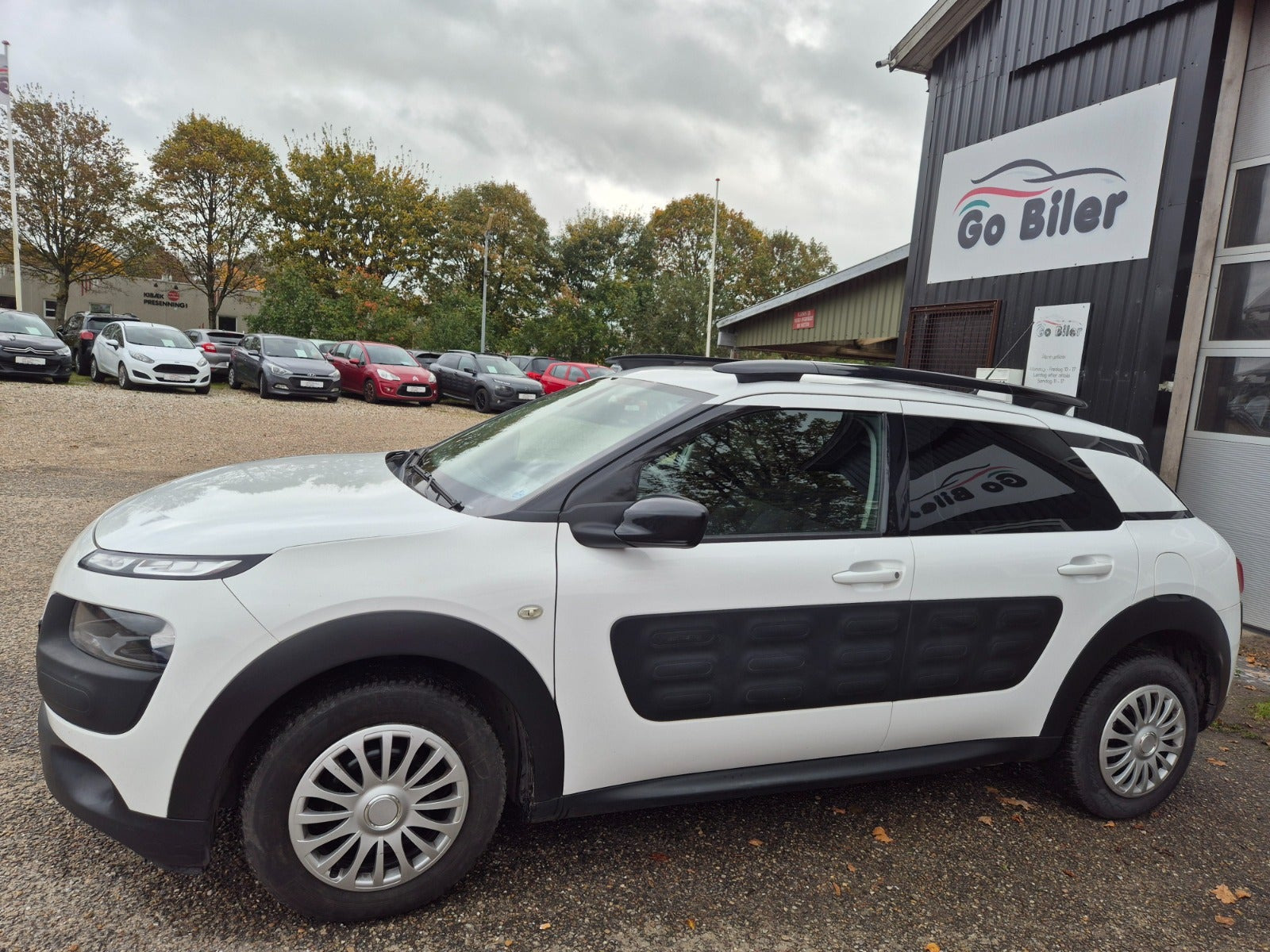 Grøn Citroën C4 Cactus fra 2016