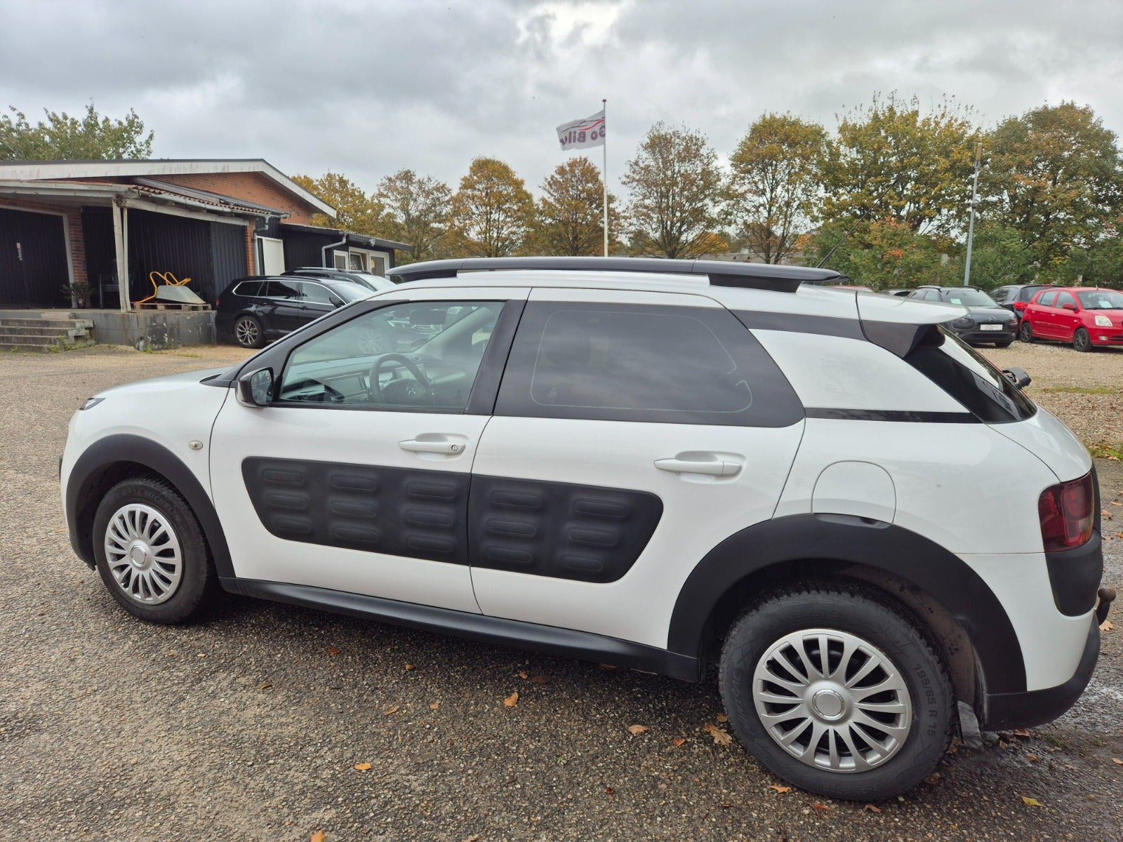 Grøn Citroën C4 Cactus fra 2016