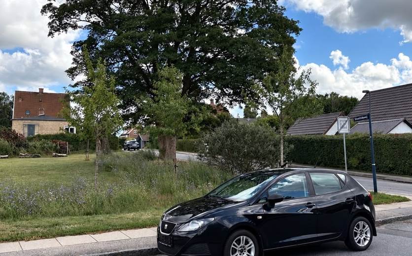 Seat Ibiza 1,4 16V 100 Sport