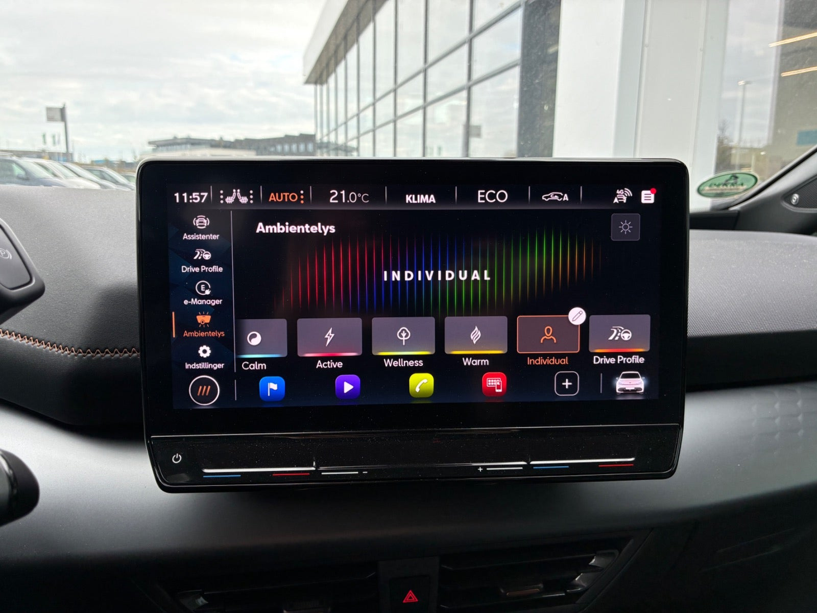Grå Cupra Born fra 2024