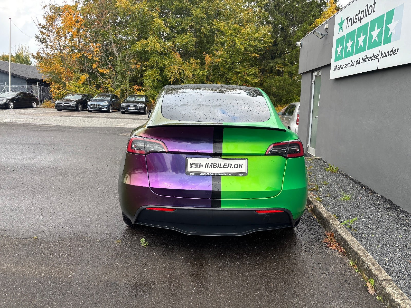 undefined Tesla Model Y fra 2021