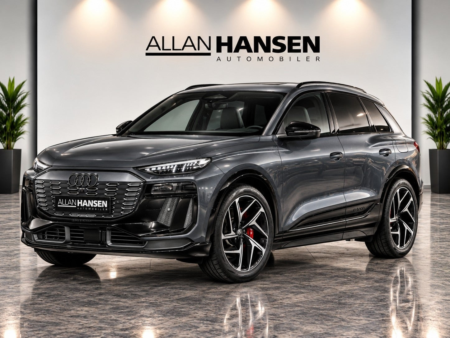 Audi SQ6 e-tron quattro