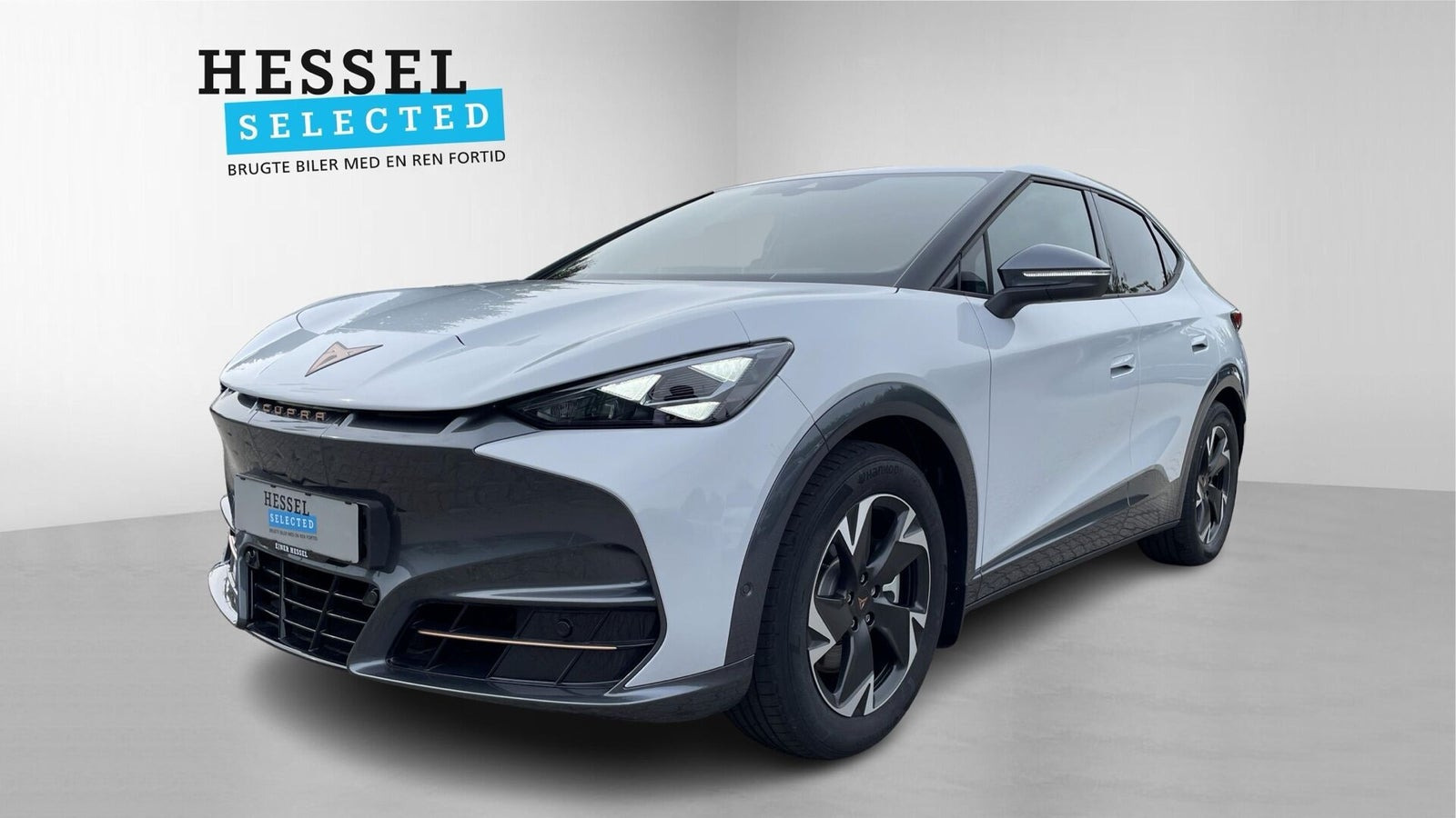 Cupra Tavascan 77 Endurance