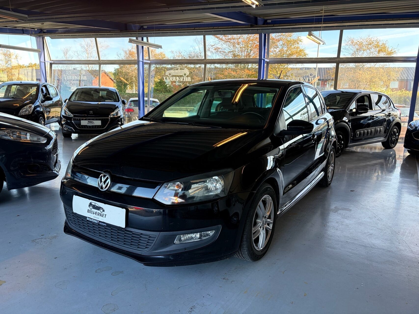 VW Polo 1,2 blueMotion TDI 75HK 5d