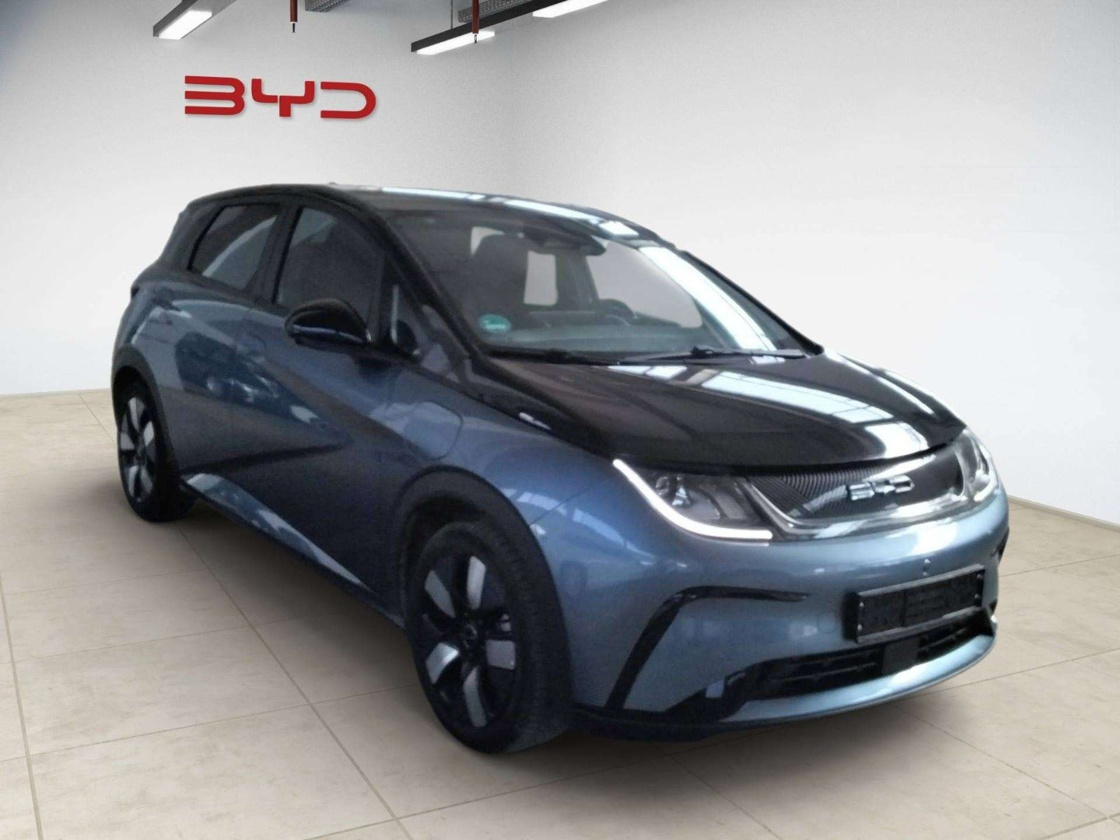 BYD Dolphin 60 Design