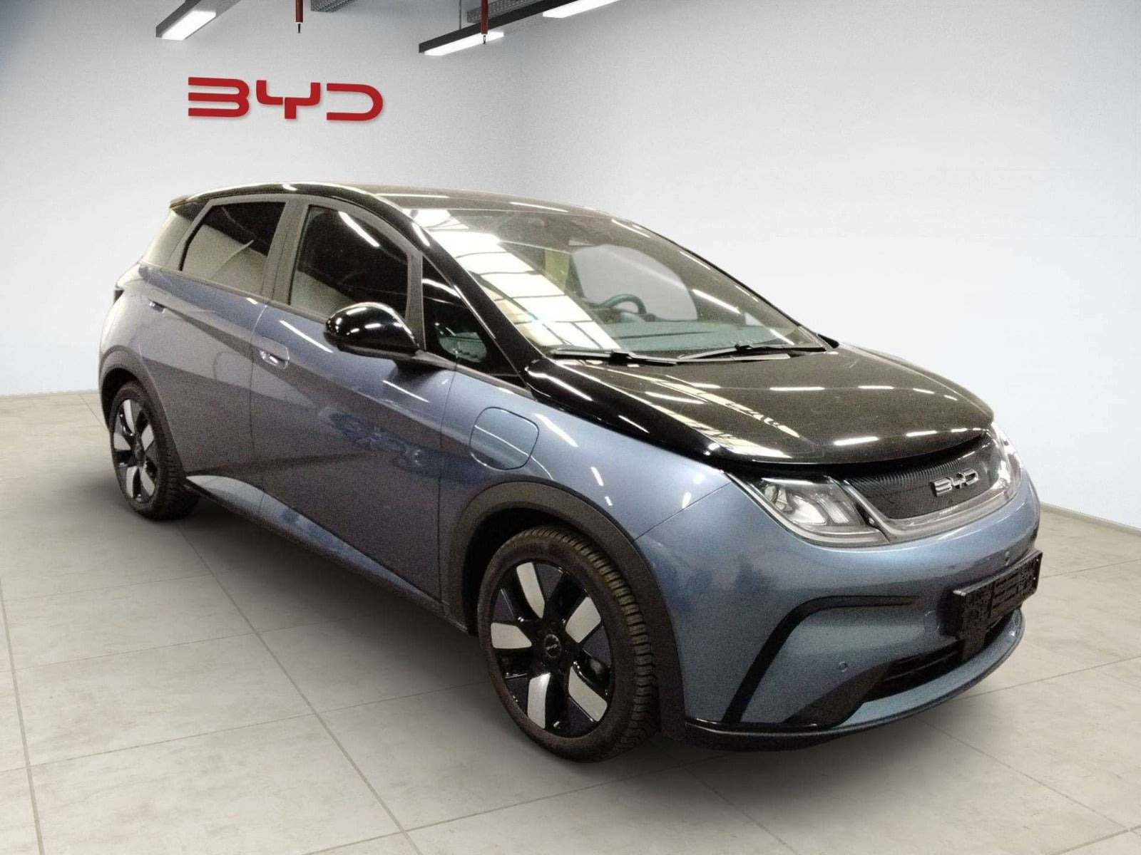 BYD Dolphin 60 Design