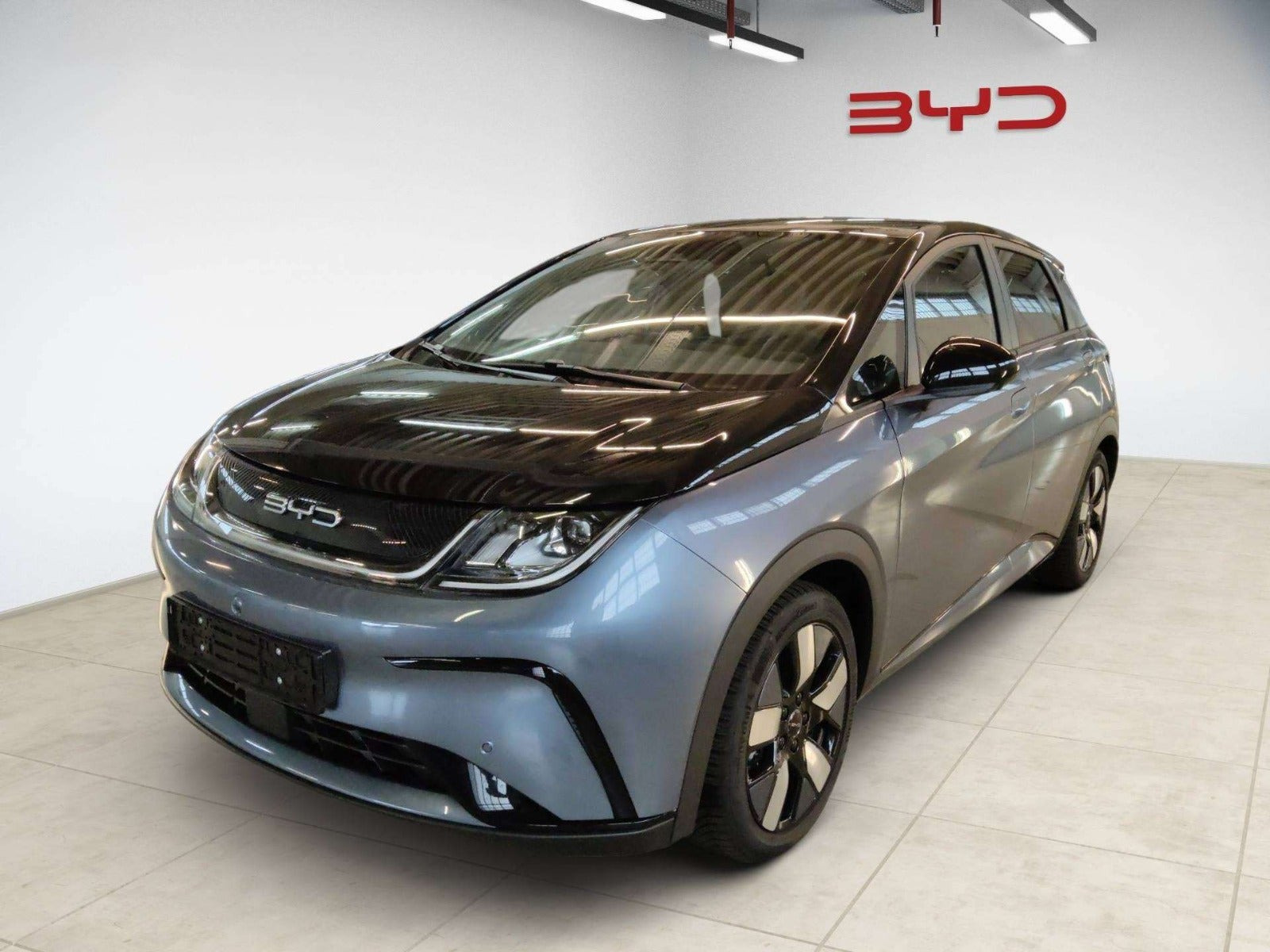 Grå BYD Dolphin fra 2025